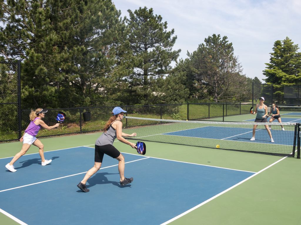 Top 10 Pickleball Kitchen Rules You Should Know and Follow – Akawav